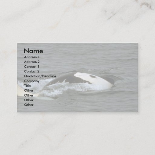 Customizable Killer whale business cards