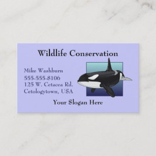 Killer Whale Business card