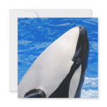 Killer Whale Cards
