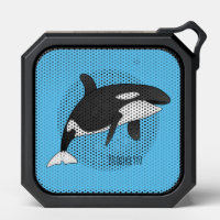 Killer whale cartoon illustration
