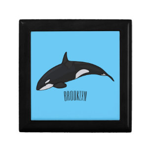 Killer whale cartoon illustration gift box