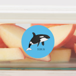 Killer whale cartoon illustration  labels