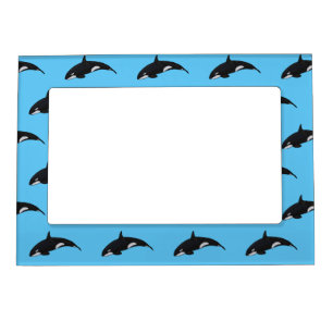 Killer whale cartoon illustration magnetic frame