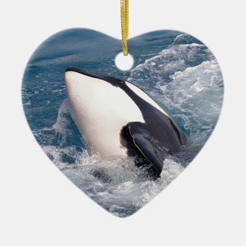 Killer whale ceramic ornament