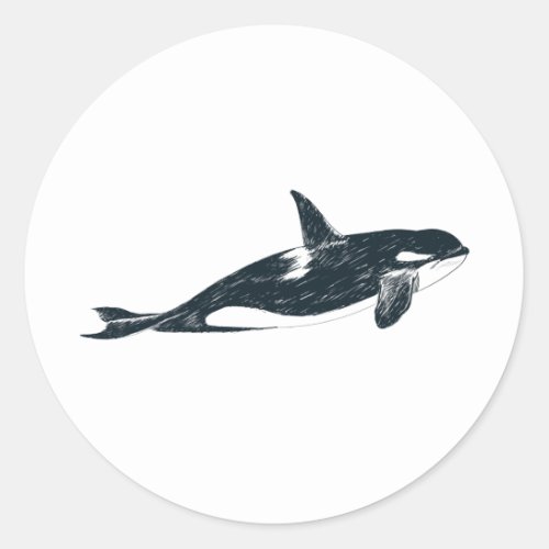  Killer whale   Classic Round Sticker