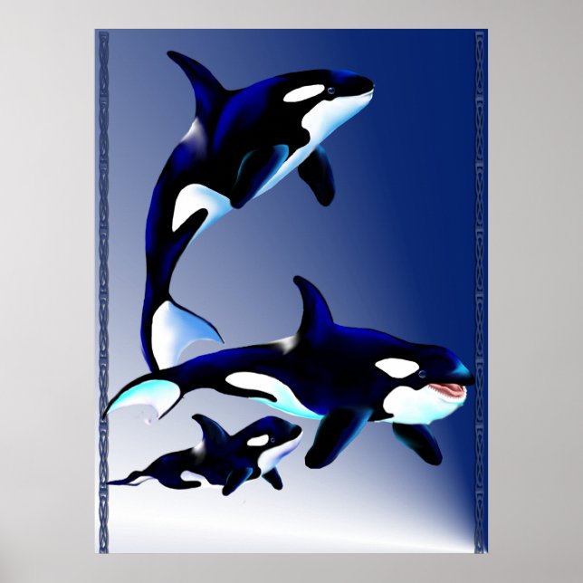 Killer Whale Family Poster (Front)