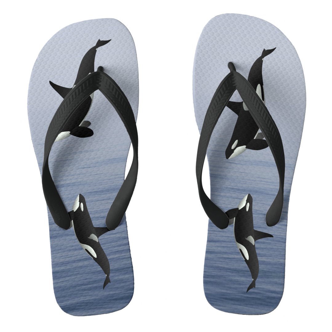 Killer Whale Flip Flops | Zazzle