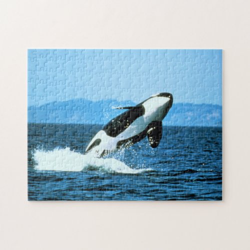 Killer Whale Jigsaw Puzzle