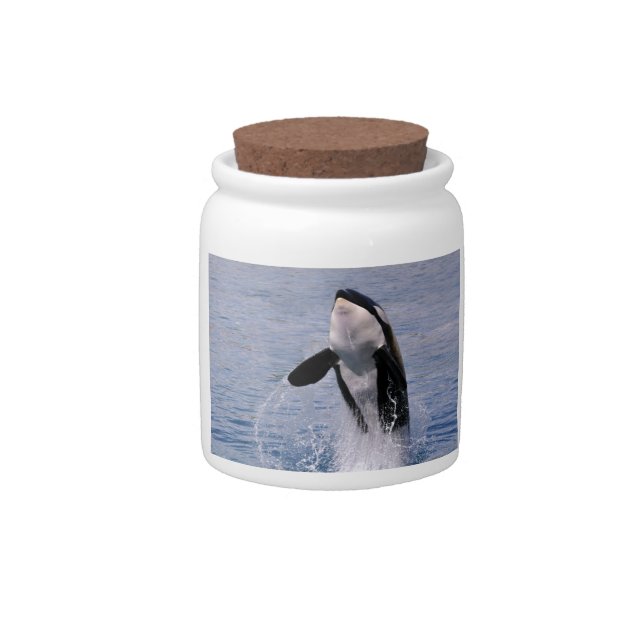 Killer whale jumping out of water candy jar (Front)
