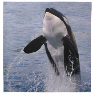 Killer whale jumping out of water cloth napkin