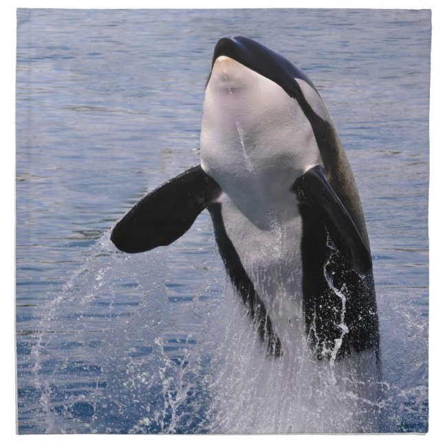 Killer whale jumping out of water cloth napkin (Front)