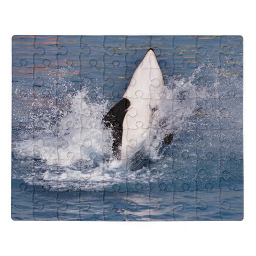 Killer whale jumping out of water jigsaw puzzle