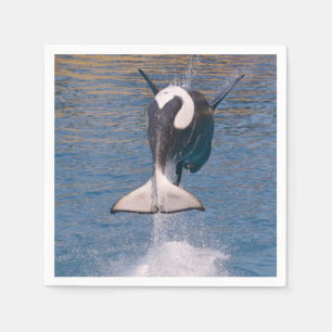 Killer whale jumping out of water napkins