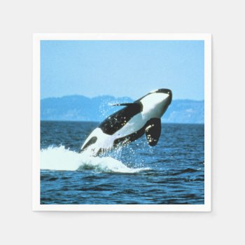 Killer Whale Napkins by Delights at Zazzle