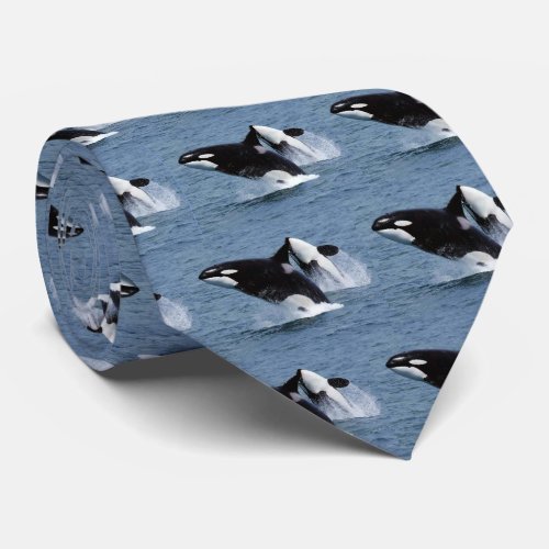 Killer whale neck tie