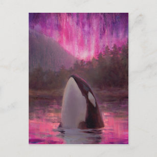 Killer Whale Orca and Pink/Magenta Northern Lights Postcard