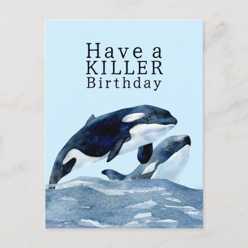 Killer WhaleOrca Birthday  Postcard