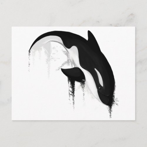 Killer Whale Orca by Crem Postcard
