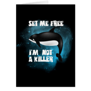 Killer Whale - Orca Cards