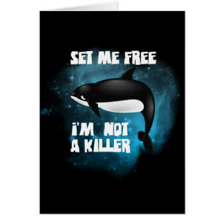 Killer Whale - Orca Cards
