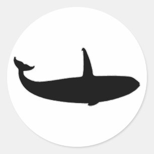Killer Whale - Orca (illustration) Classic Round Sticker