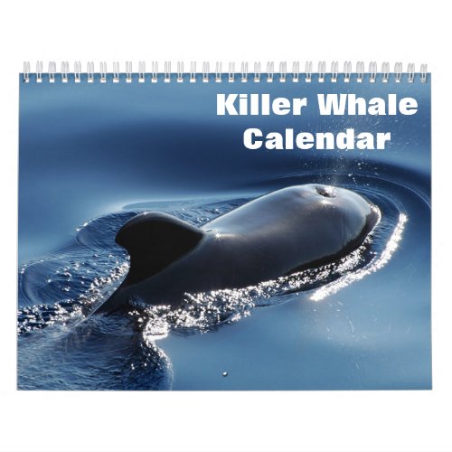 Killer Whale Orcas 2024 Calendar