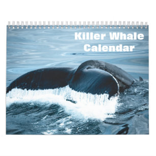 Killer Whale Orcas 2026 Calendar
