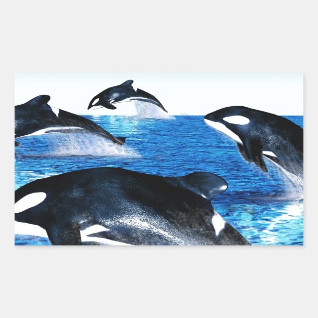 Killer Whale Pod Rectangular Sticker (Front)