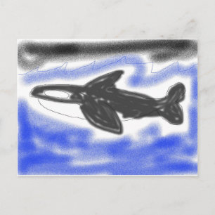 Killer Whale Postcard