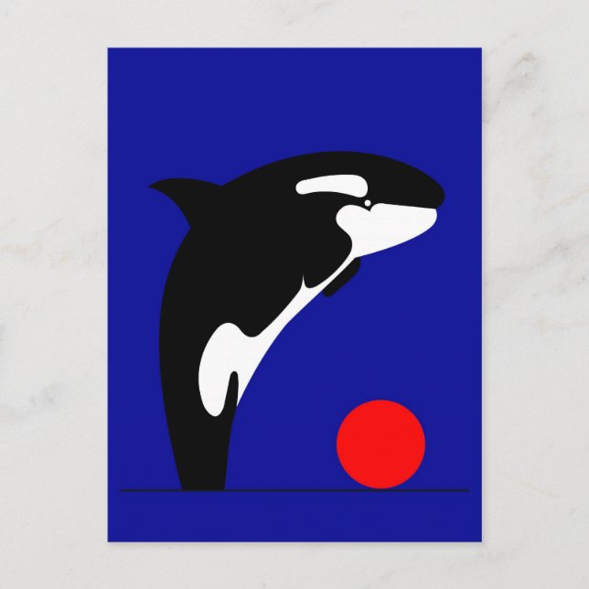 Killer Whale Postcard (Front)