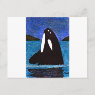 killer whale postcard