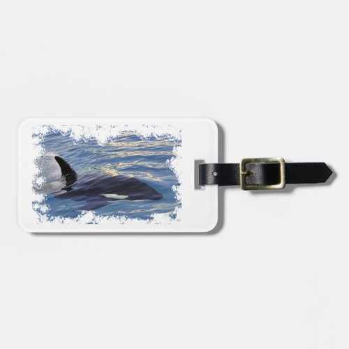 Killer whale swimming fast luggage tag