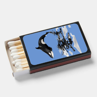 Killer whale swimming matchboxes