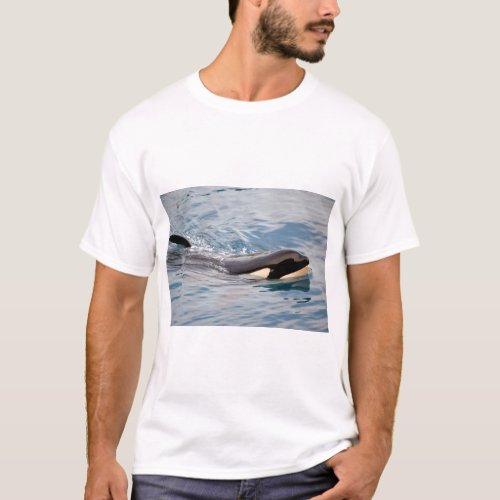 Killer whale swimming T_Shirt