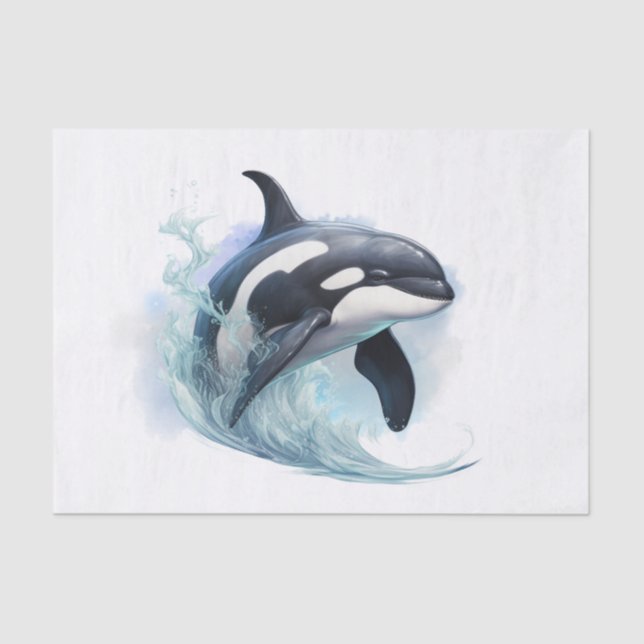 Killer Whale Tissue Paper (Front)