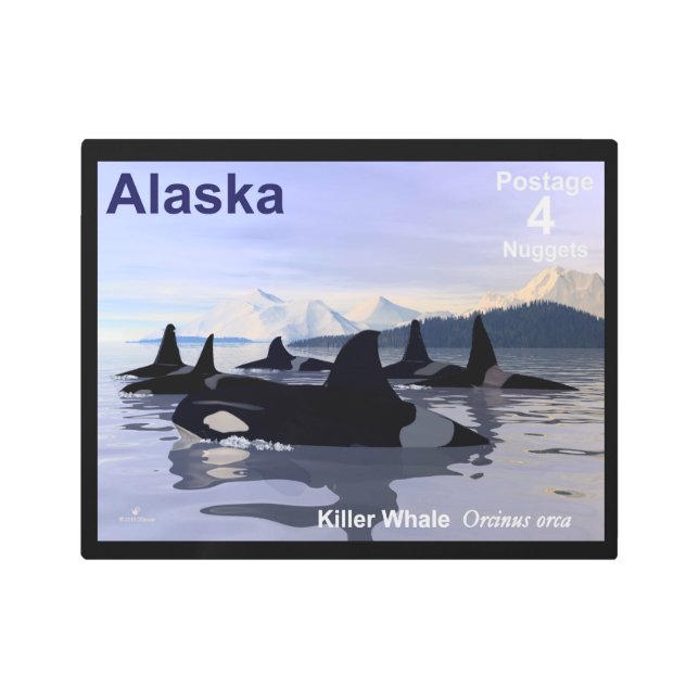 Killer Whales - Alaska Postage Metal Print (Front)