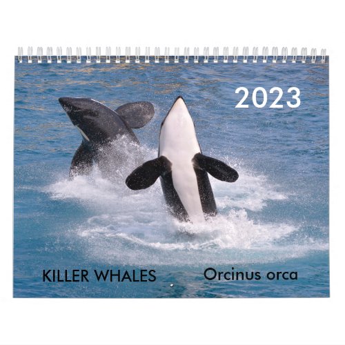 Killer whales calendar