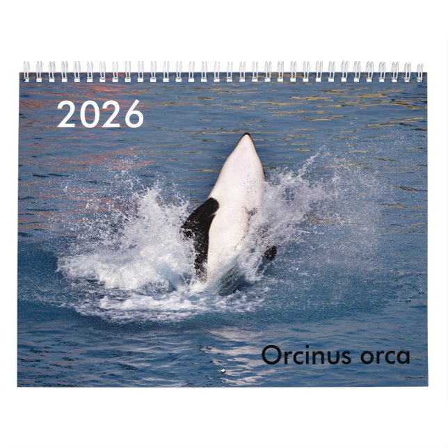 Killer whales calendar (Cover)