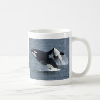 killer whales coffee mug