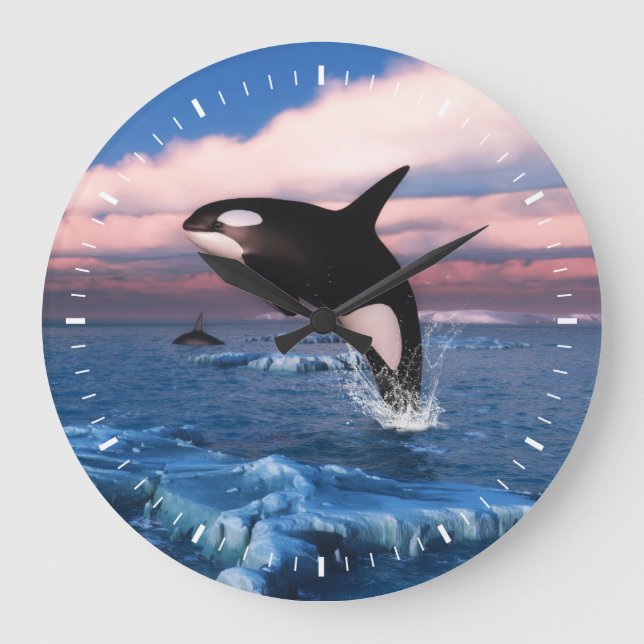 Killer whales in the Arctic Ocean Large Clock (Front)