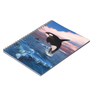 Killer Whales In The Arctic Ocean Notebook