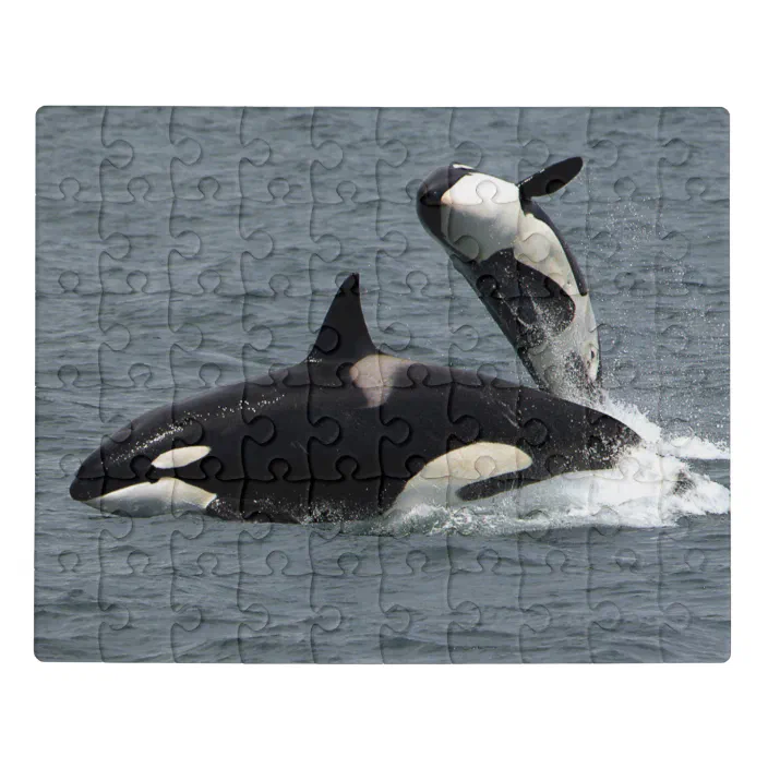 Orca Whales Puzzle 