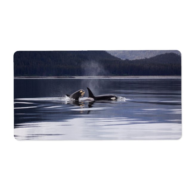 Killer Whales Label (Front)