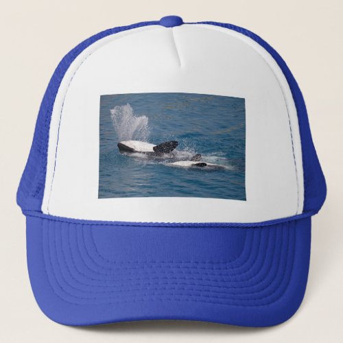Killer whales on the back trucker hat