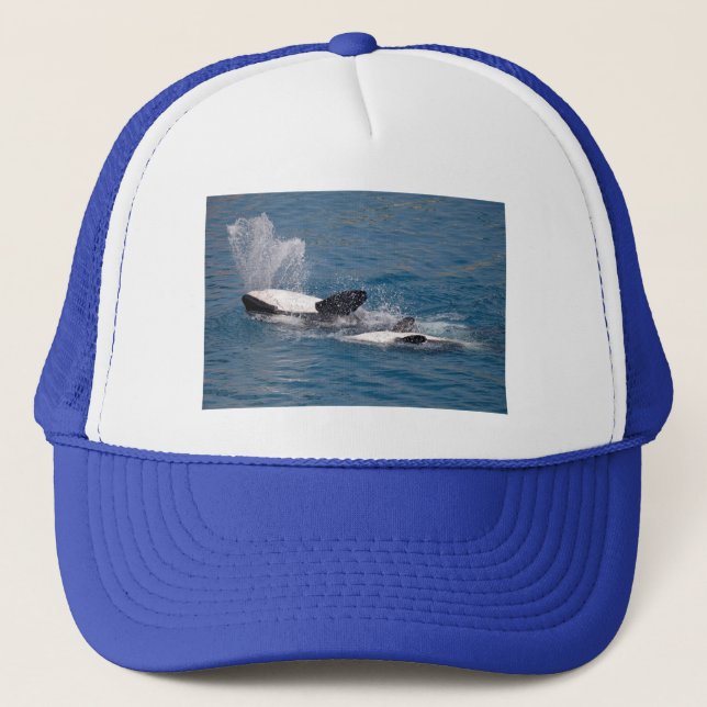 Killer whales on the back trucker hat (Front)