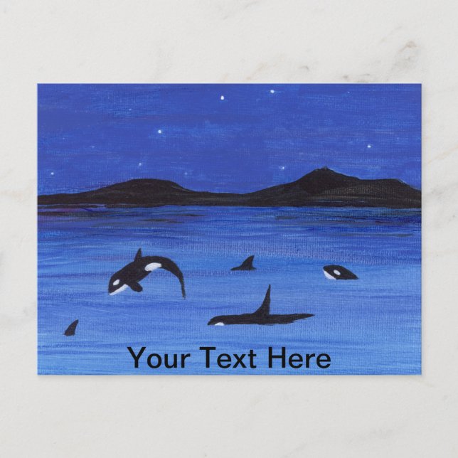 Killer Whales Postcard (Front)