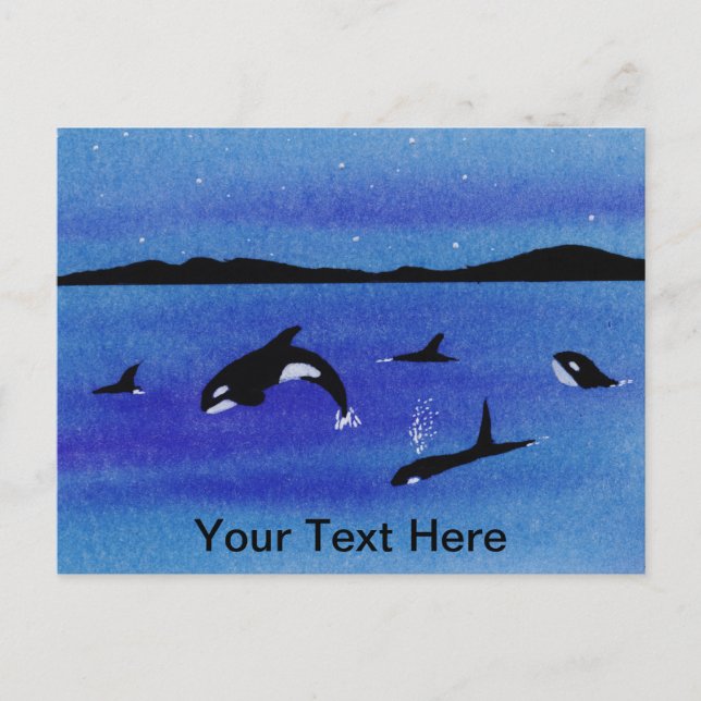 Killer Whales Postcard (Front)