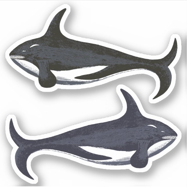 Killer Whales Sticker (Front)