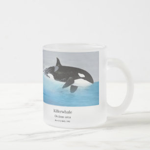 Killerwhale , Orcinus orca Frosted Glass Coffee Mug