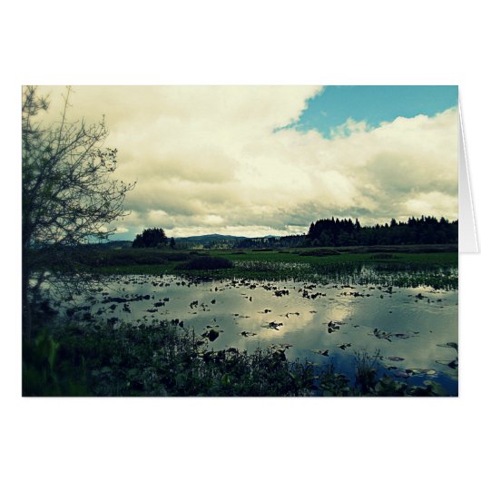 Killin Wetlands Reflection Cards (Front Horizontal)